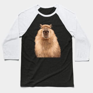 Chubby Capybara Baseball T-Shirt